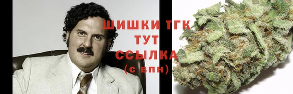 PSILOCYBIN Покров