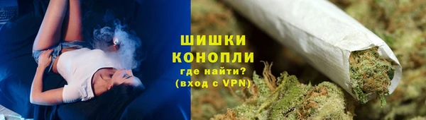 PSILOCYBIN Покров
